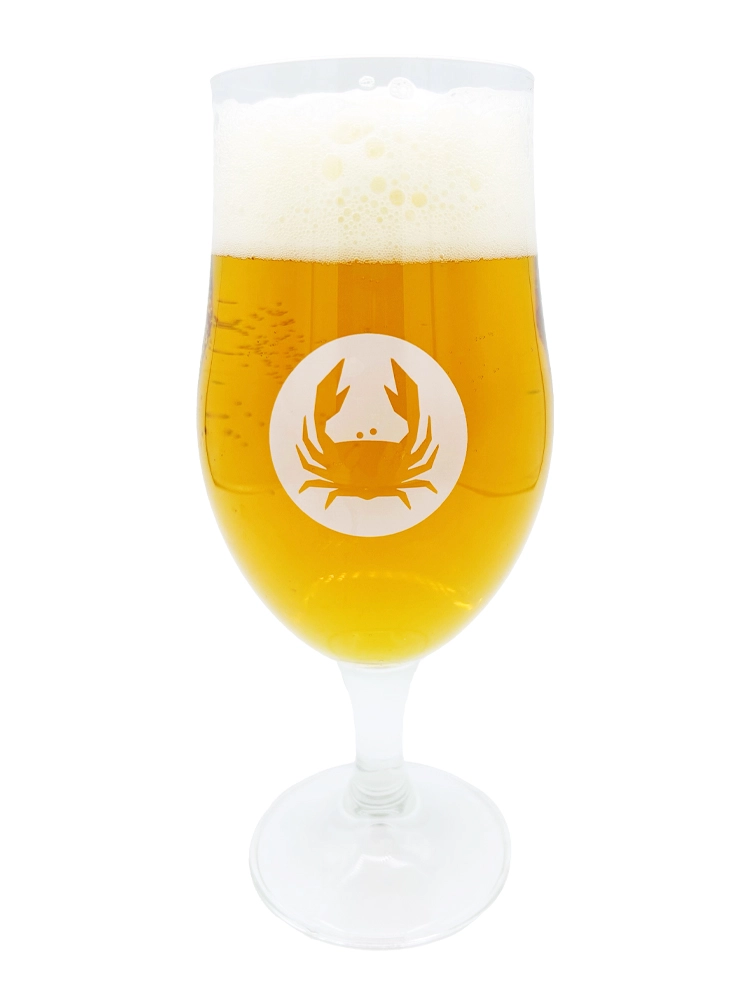 Schelde glass