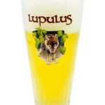 Lupulus pils beer glass | Beer Glass Enthusiast