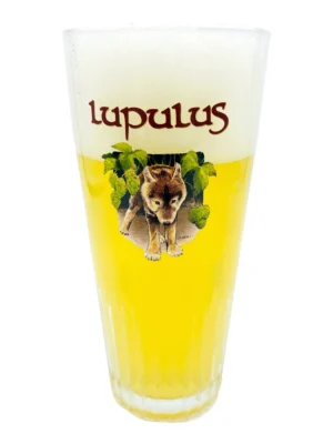 Lupulus pils beer glass | Beer Glass Enthusiast